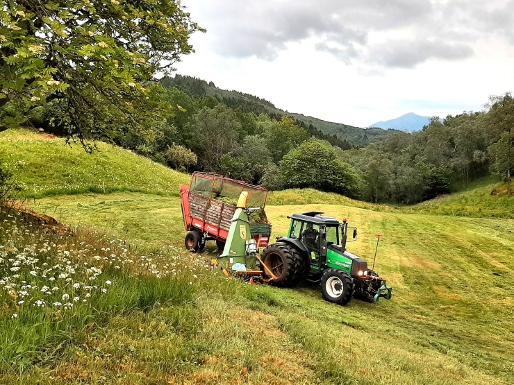 Grønt gras, grøn traktor med rød forhaustar, blå himmel