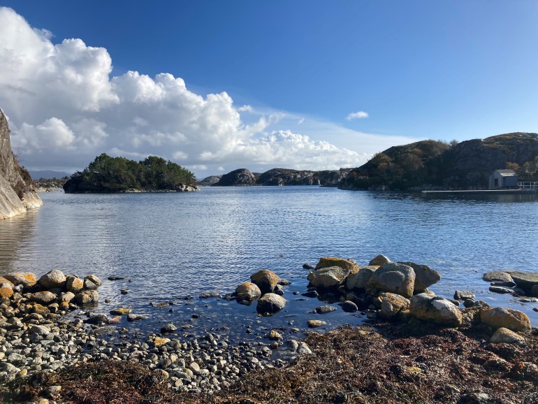 Bilete av sjø, fjæresteinar, skogkledd holme, blå himmel og kvite skyer. 