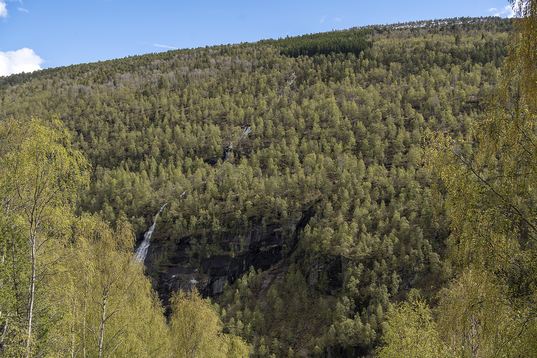 Bilde av Gråura - eit stort og bratt bekkekløft. Området er utruleg rikt på naturtypar. Dette naturreservatet er no utvida og går inn i Sunndal i tillegg til i  Oppdal. 