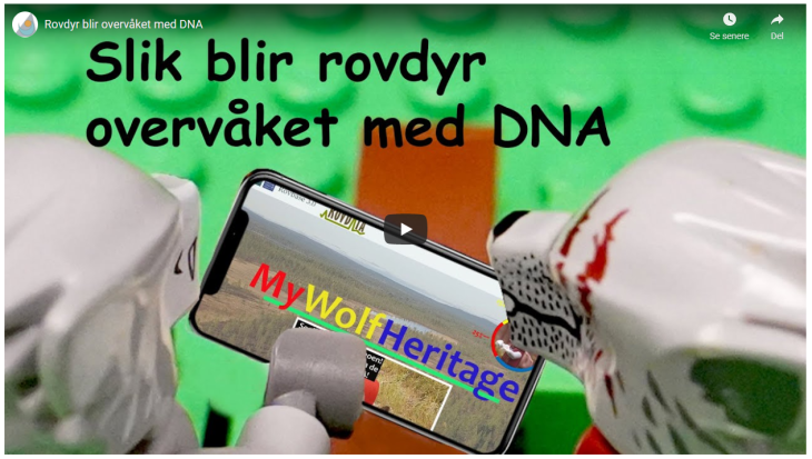 Rovdyr blir overvaka med DNA