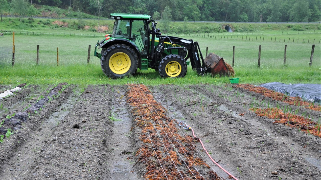 Traktor bak senger med jord klar til å sås til eller plantes til med grønnsaker.