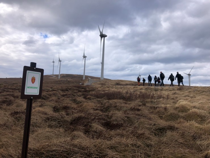 folk går i ein vindkraftpark