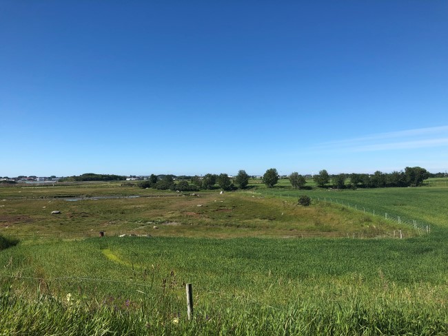 Hovsfjæra, 