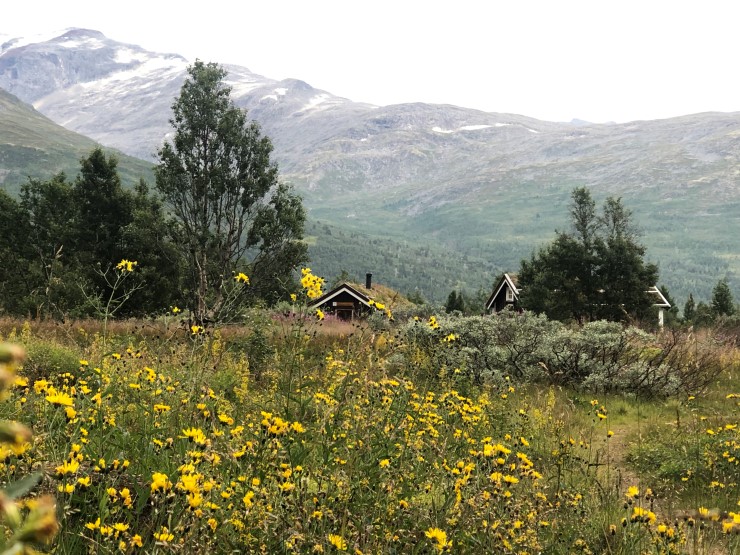 Stølsmaradalen ligg i dag i Utladalen landskapsvernområde og er eitt av områda som kan bli vurdert innlemma i nasjonalparken. Ein prosess er på gang og med lokal aksept vil vi kunne sende ut ei formell oppstartsmelding der alle kan komme med innspel. 