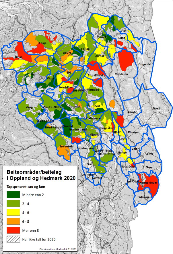 Beitelag i Innlandet - tap 2020 Beitelag i Innlandet - tap 2020