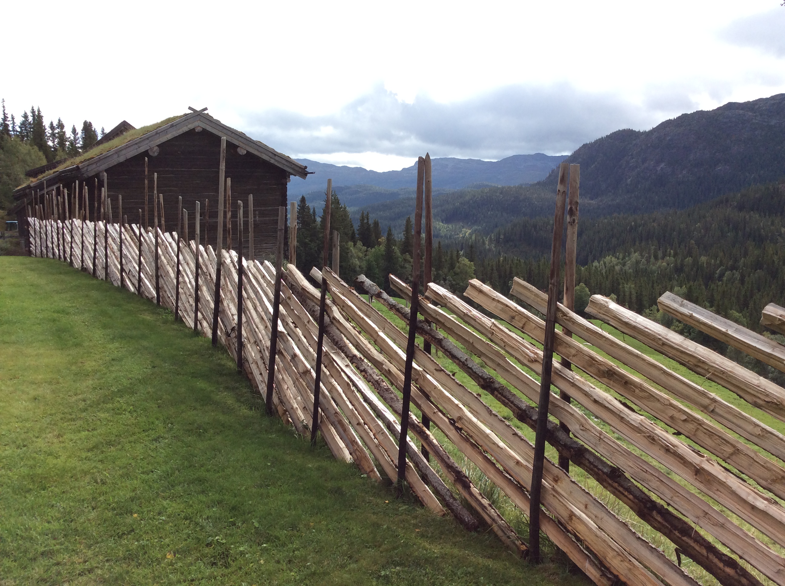 Restaurera skigard på Nørsteteig i Svartdal