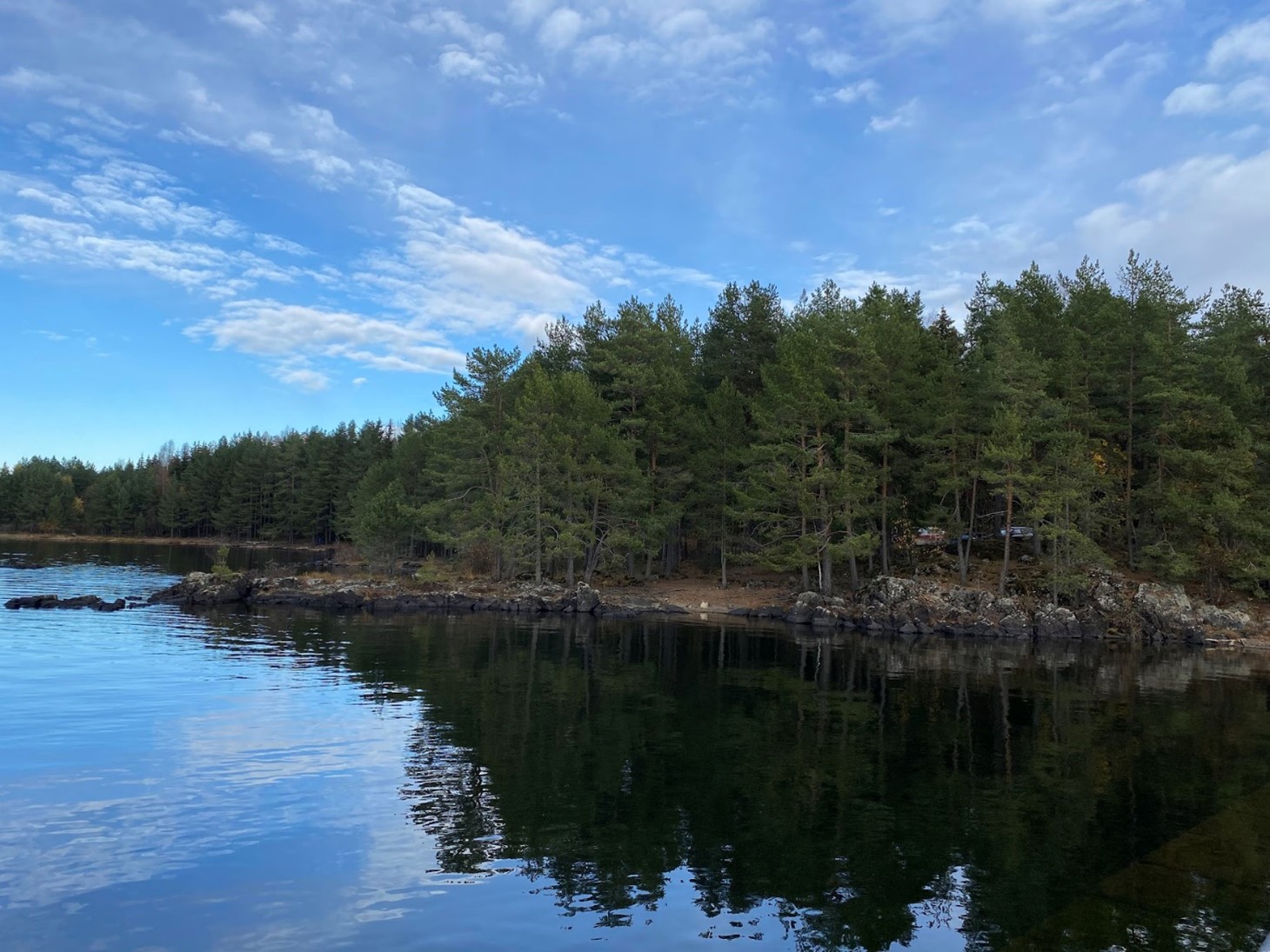 Foto av Moelv brygge naturminne