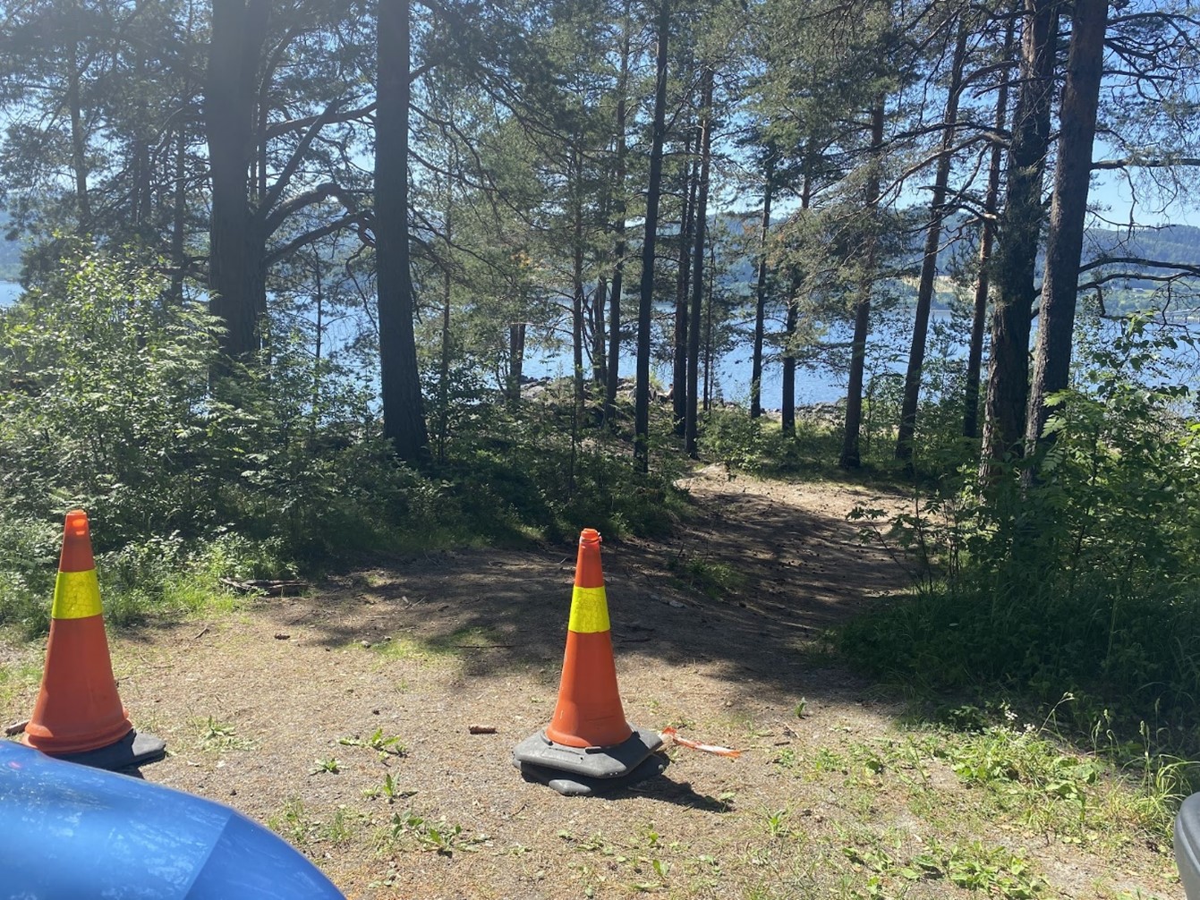 Foto av riggvei-dannelse i verneområde