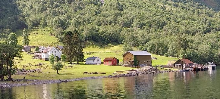 Garden Styvi med velstelte bøar. 