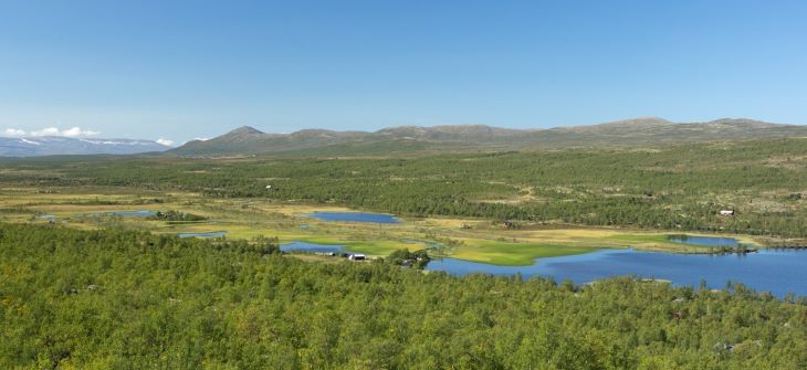 Landskapsfoto av skog, myr, vann, fjell og blå himmel