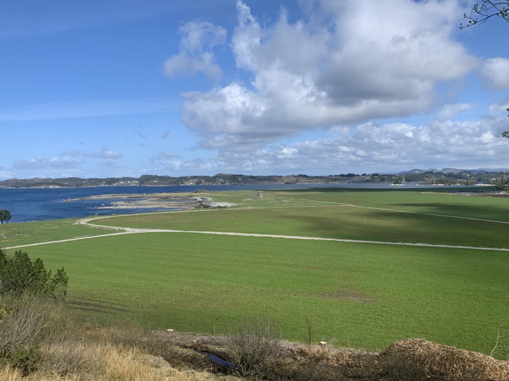 et grønt landskap med sjø i sikte