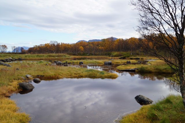 Bilde fra Risøysundet naturreservat