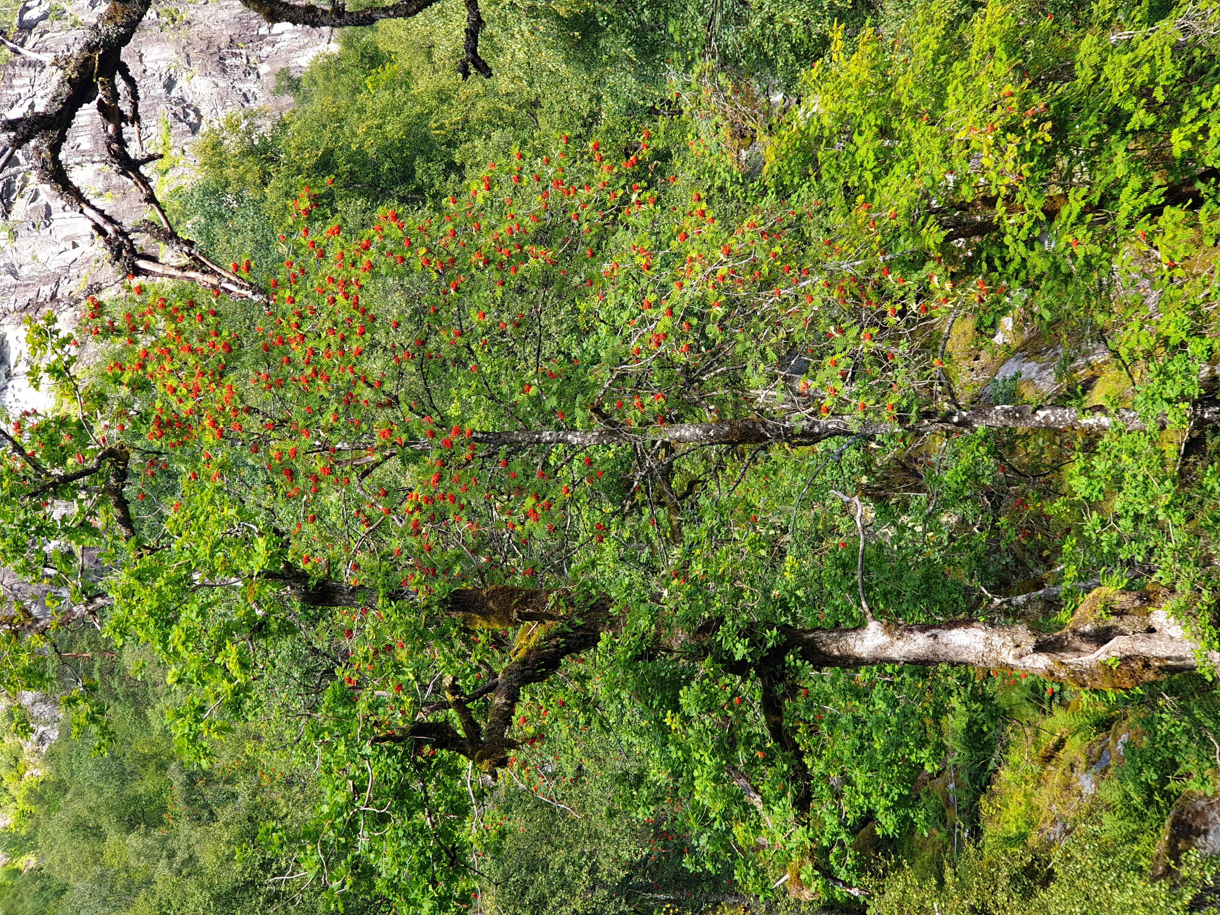 Bilder av naturreservat