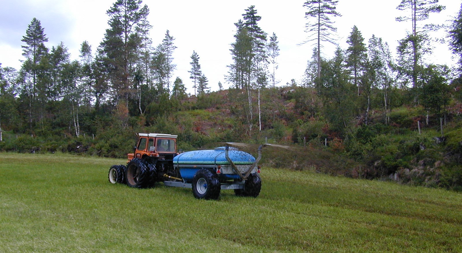 Husdyrgjødselspreiing.