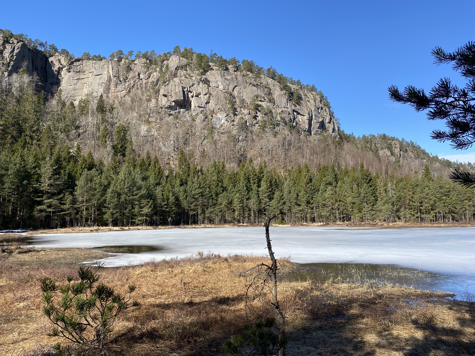Mot Voreheia, den vestre delen av Igletjenn naturreservat. 