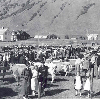 Storfesj&aring; p&aring; Bj&oslash;rnskinn ca 1940