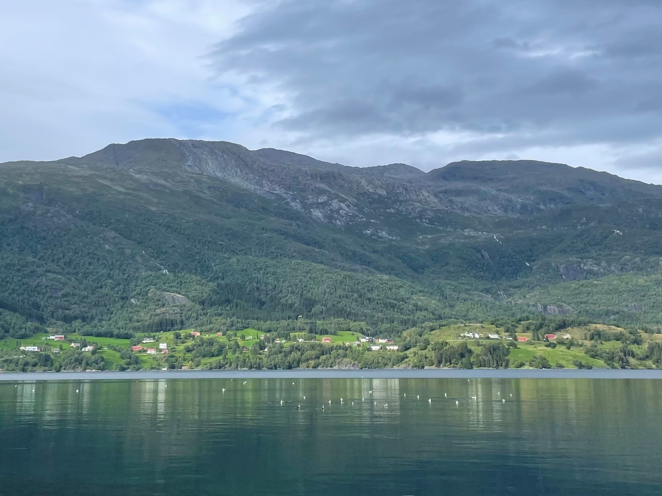 Landbruksbygd sett fra fjorden