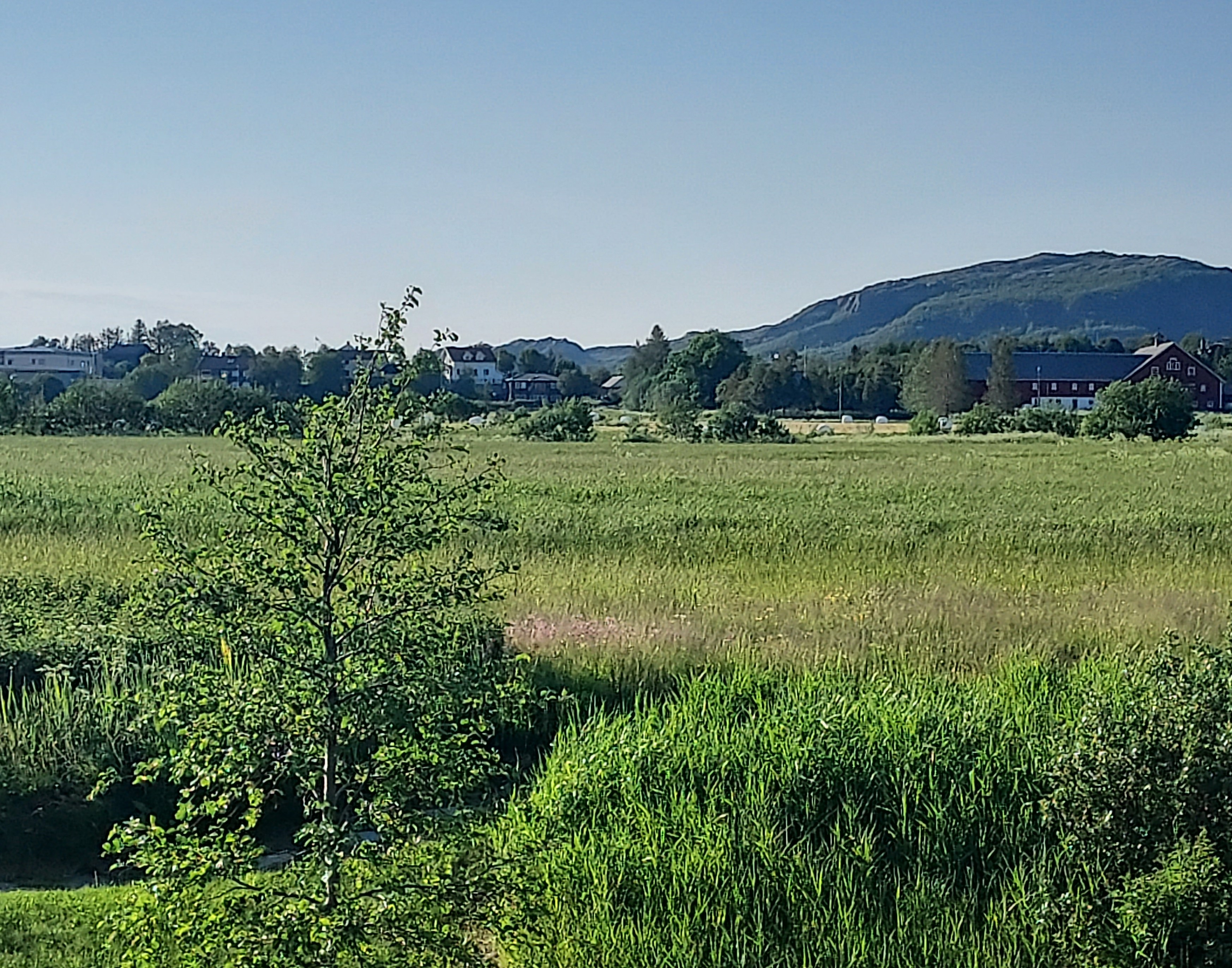 Illustrasjonsfoto fra Rønvikjordene i Bodø kommune