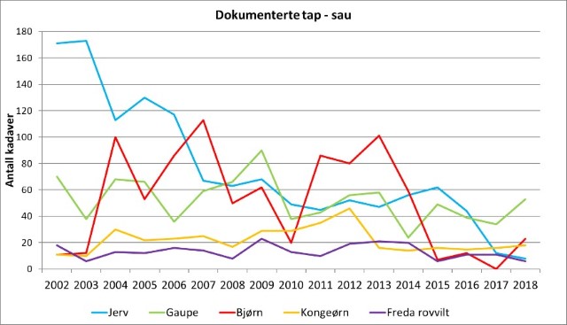 Kadaver av sau som er påvist drept av fredet rovvilt i perioden 2002-2018 Kadaver av sau som er påvist drept av fredet rovvilt i perioden 2002-2018