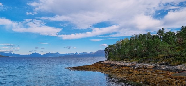 Utsyn over en stille fjord med trær og svaberg