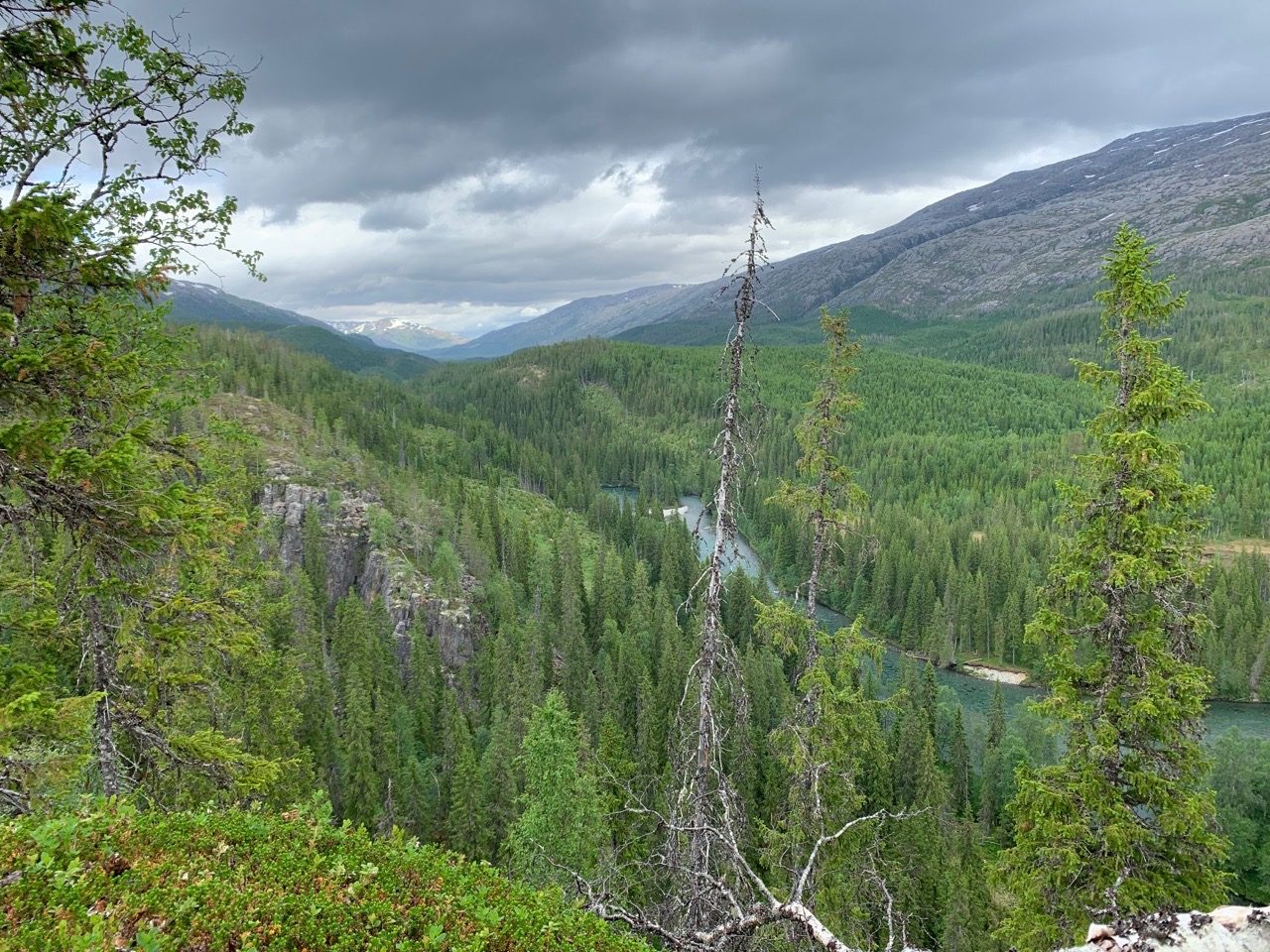Utsikt over det nyopprettede Olaåsen naturreservat, med Eiteråga i bakgrunnen.