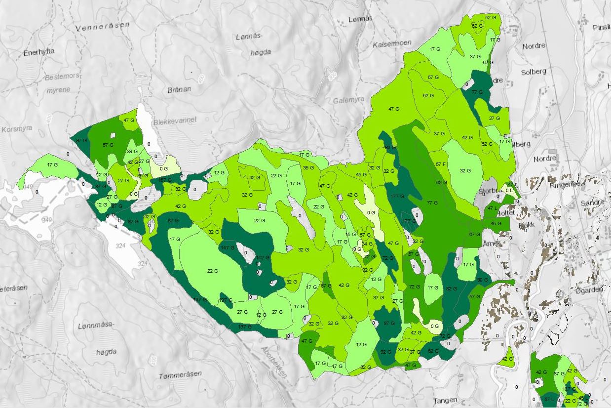 Kartutsnitt av et skogområde inndelt i bestand.