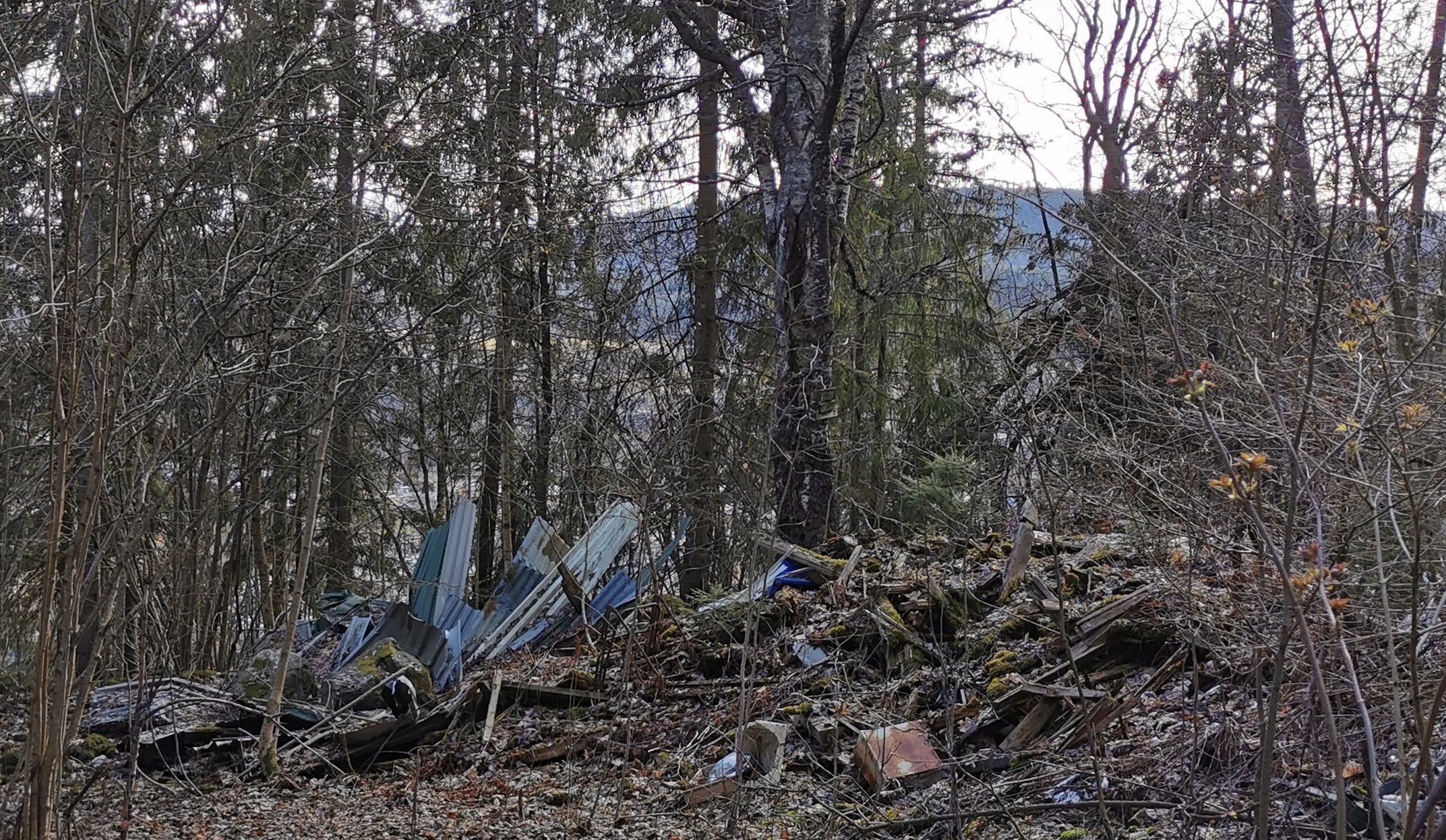 Skogsområde hvor det ligger metallskrap, treverk og takplater i en haug på bakken.