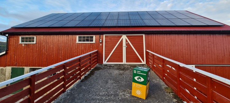 Solceller på låvetak i Hjelmeland kommune. 