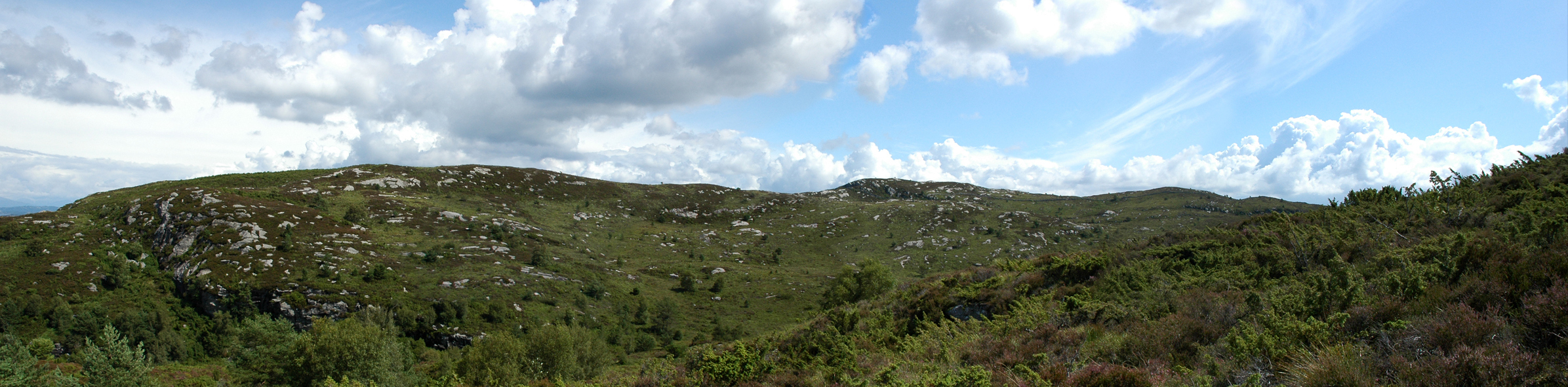 Austb&oslash;heia p&aring; Rennes&oslash;y