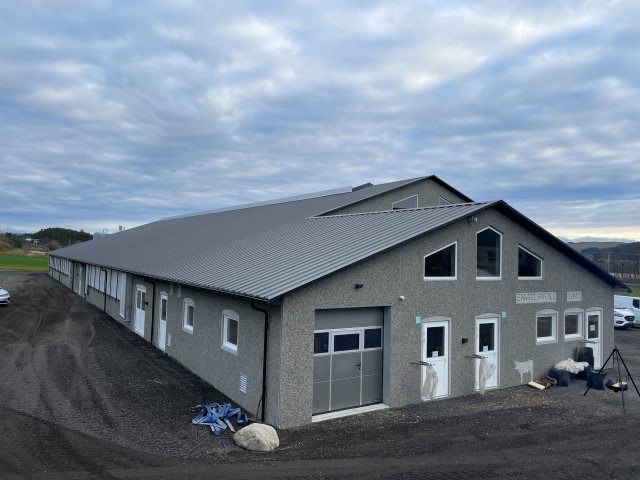 Frå pelsdyrhall til mjølkekufjøs på Engelsvoll, Klepp.