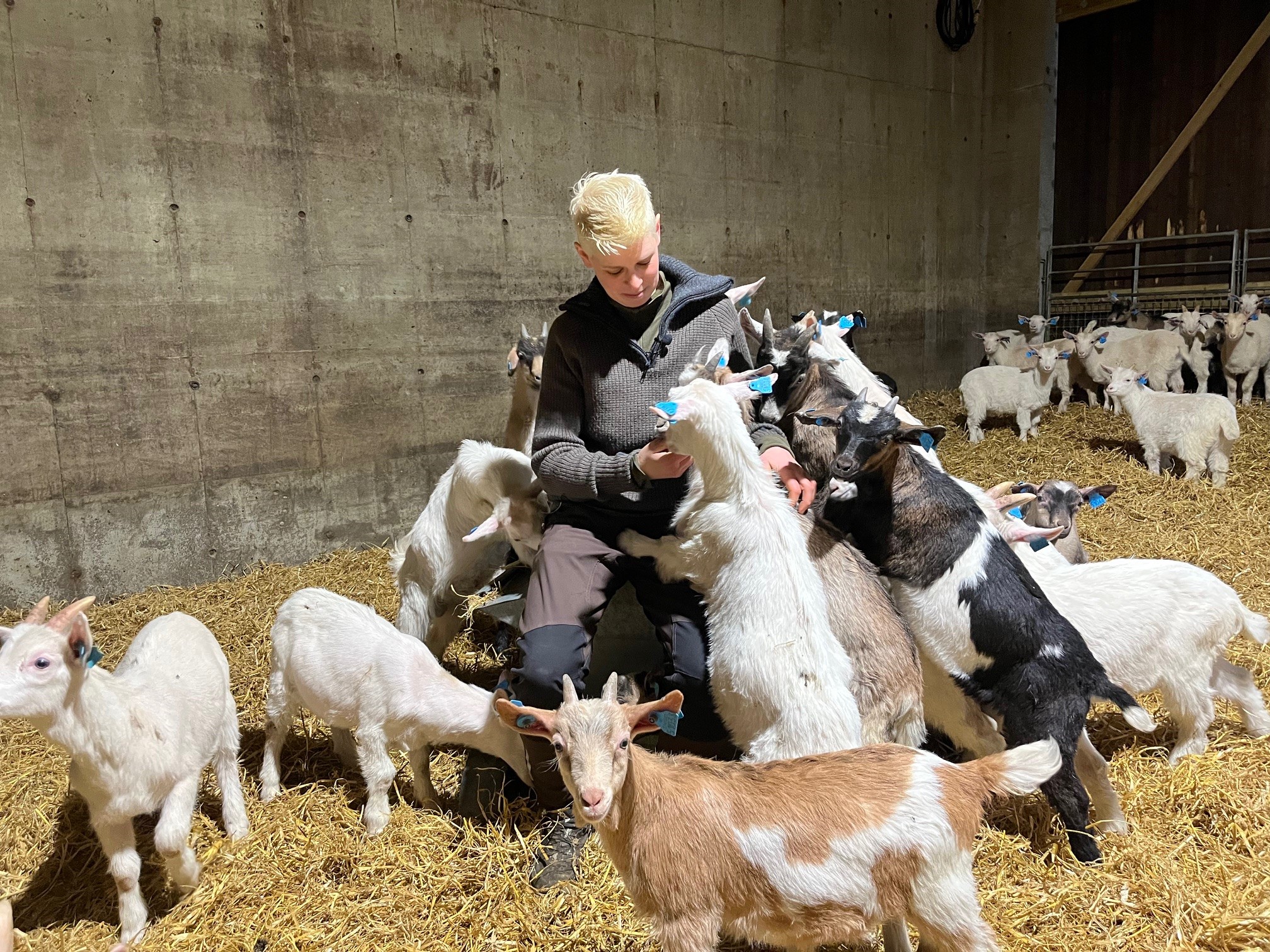 Stina Fosen, Vikedal i Vindafjord kommune. 