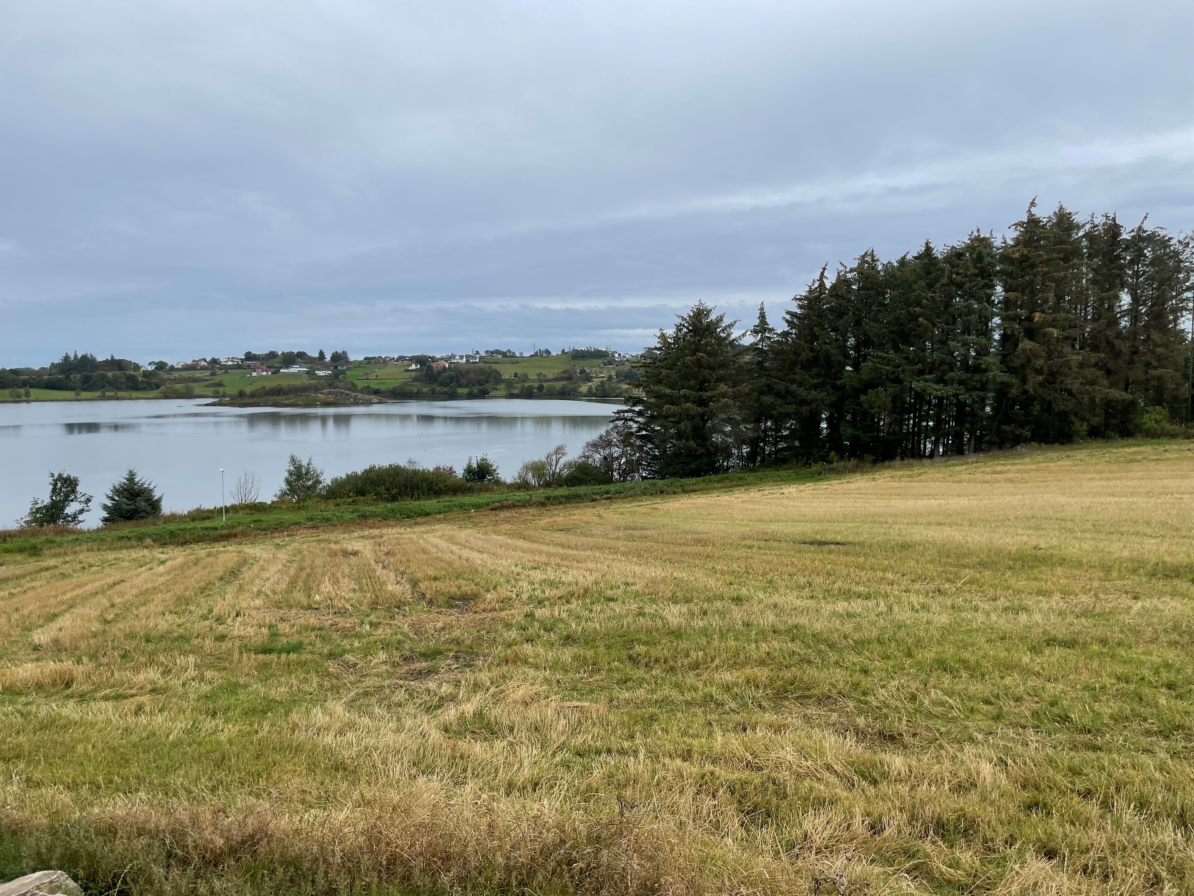 Hålandsvatnet. 