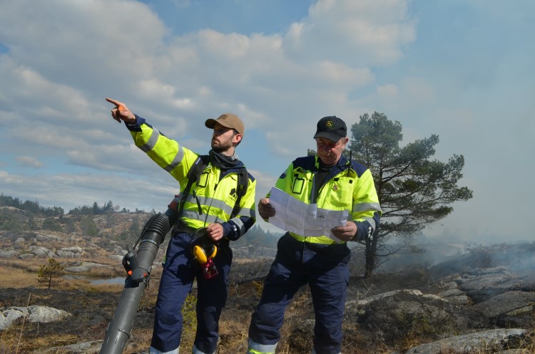 Ove Stumo (til høgre) planlegg lyngbrann for å restaurere attgrodd kystlynghei i Rogaland.