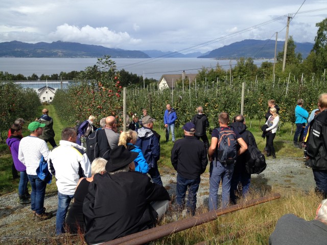 Utviklingsprosjekt innen frukt -  "Fruktsatsinga". Fra en frukthage på Ombo.