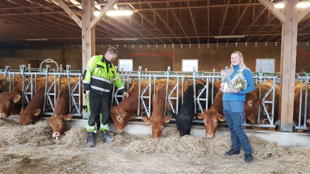 May Kristin Lofthus vann juletre frå ein lokal produsent og lokalmat i premie i fotokonkurransen Mangfaldig landbruk. Her i saman med far Karl Gustavd Lofthus og kyrne i det nye trefjøset i Sauda.