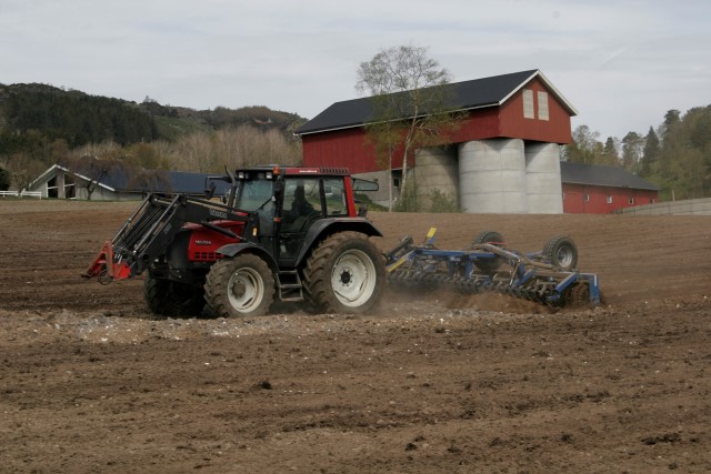 Våronn i Skjold, Vindafjord kommune.