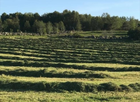 God fyrsteslått allereie i mai. 