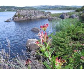 Frå Bjårvatnet naturreservat i Hå kommune. Bjårvatnet naturreservat i Hå kommune.