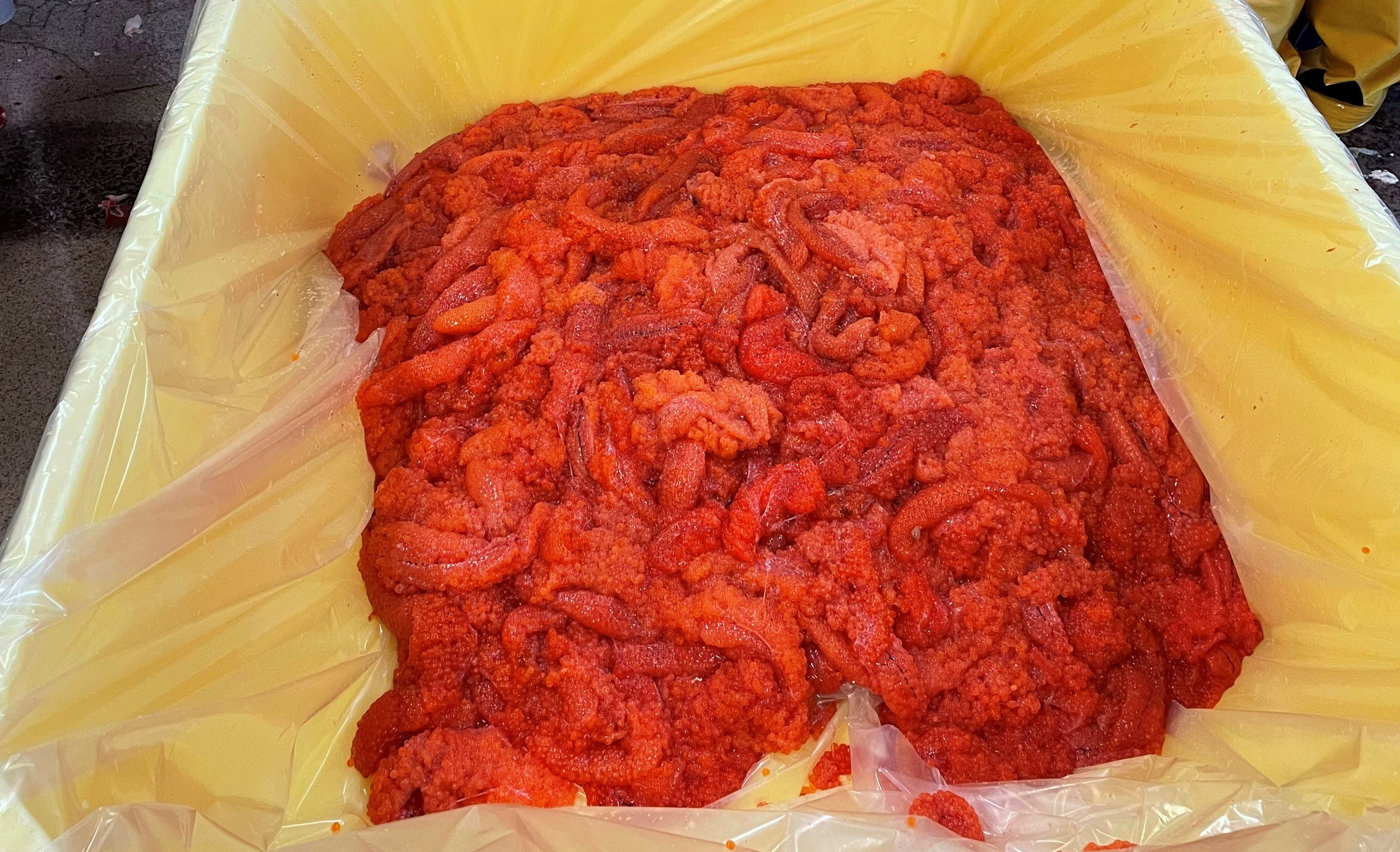 Rød lakserogn i et plastkar.