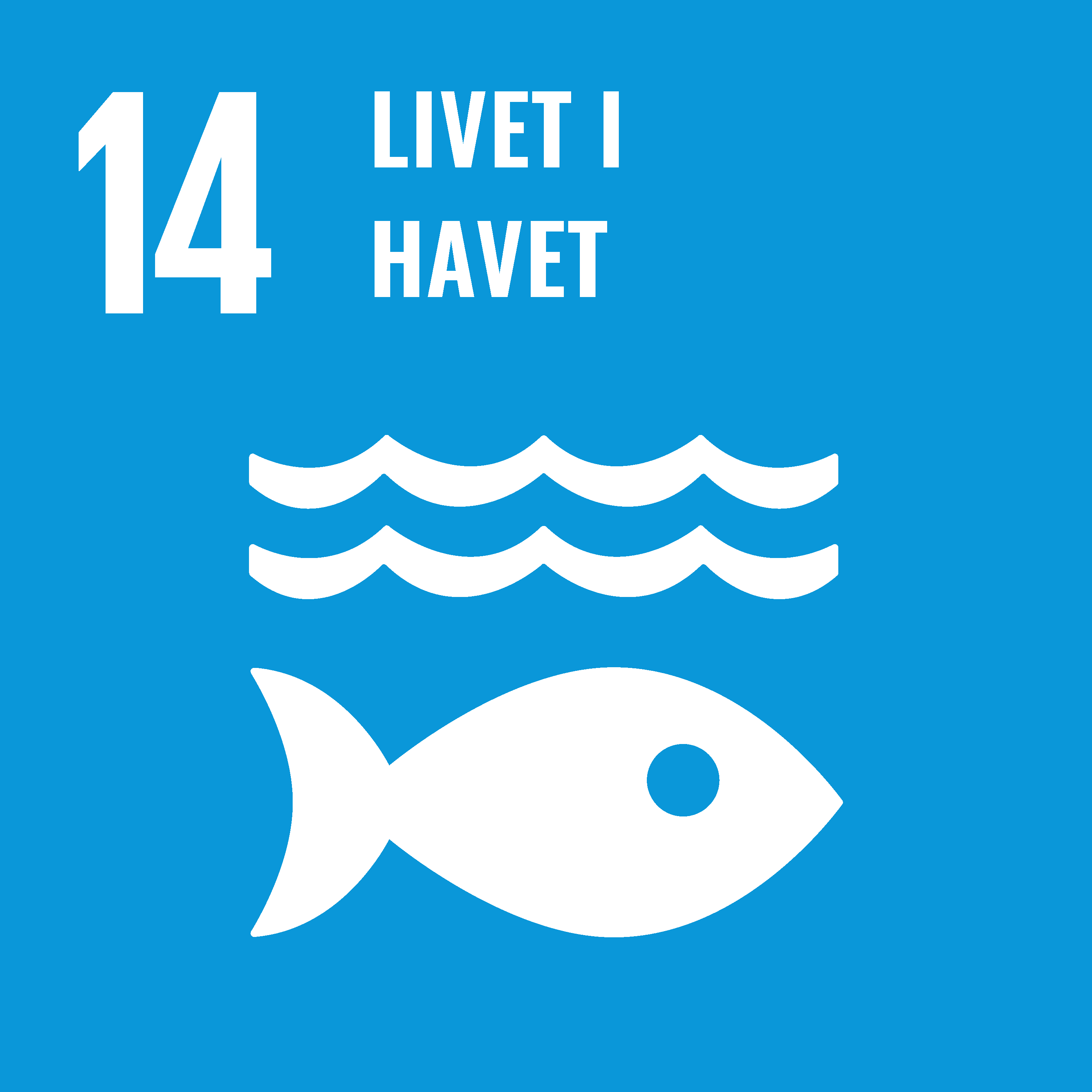 FNs bærekraftsmål nr 14: Bevare og bruke hav og marine ressurser på en måte som fremmer bærekraftig utvikling.