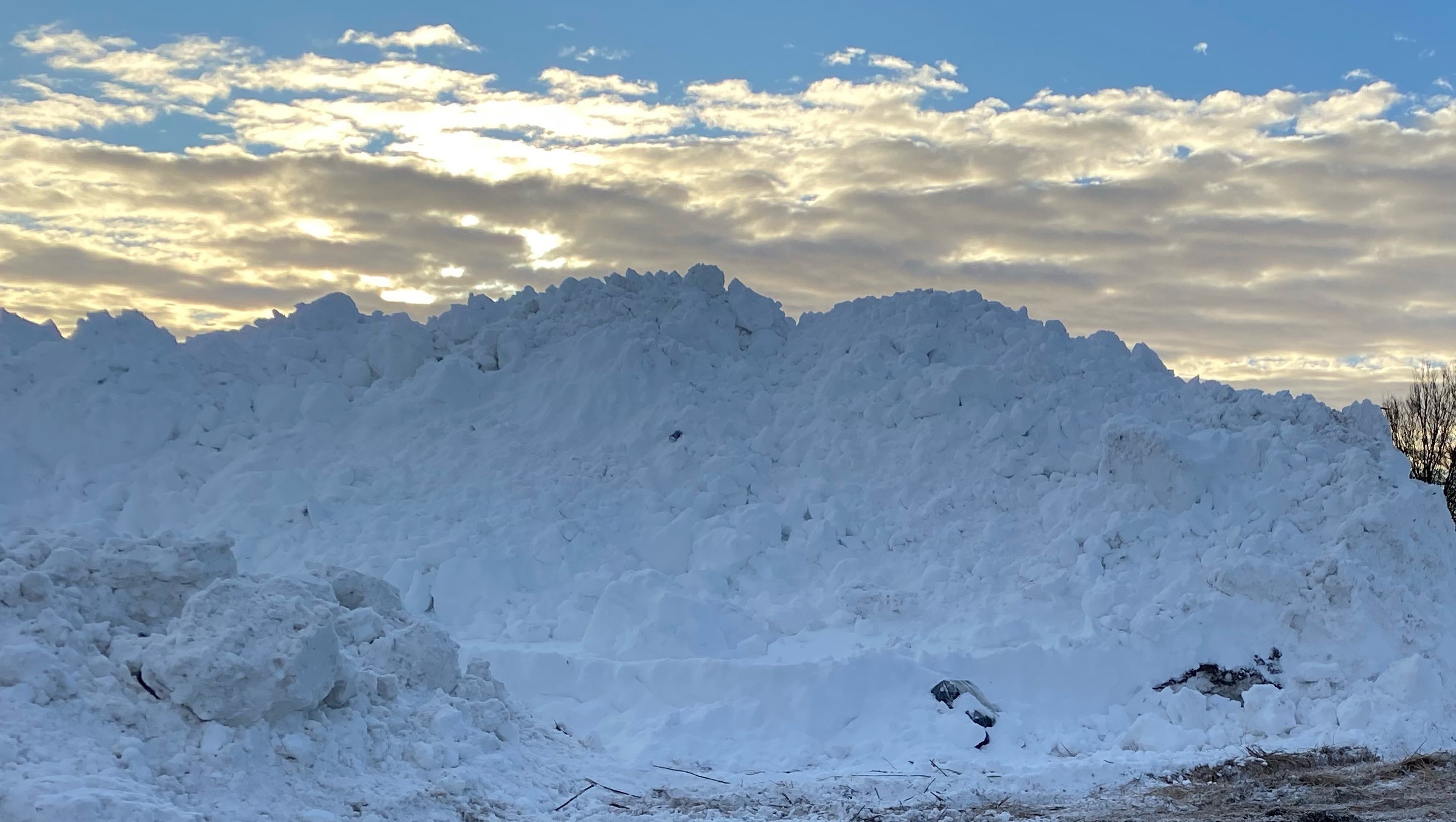 Foto: Statsforvalteren i Vestfold i Telemark