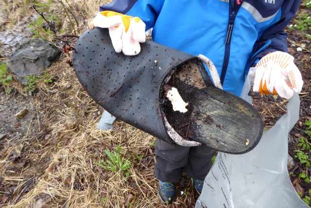 Mye rart å finne på en strandryddedag. Foto: Statsforvalteren i Vestfold og Telemark