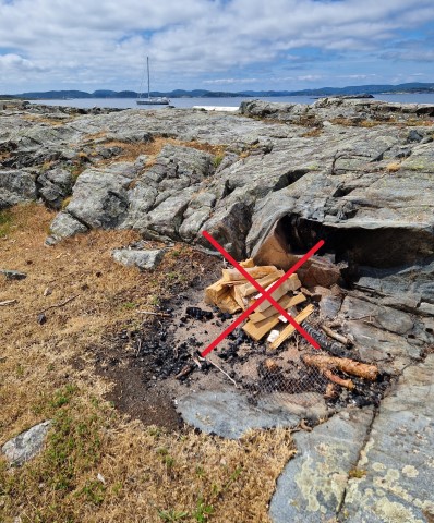 Vi oppfordrer alle til å opptre ekstra varsomt når de ferdes i ut- og innmark. Foto: Statsforvalteren i Vestfold og Telemark