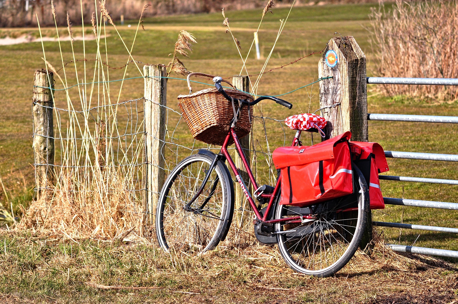På sykkeltur. Foto: Pixabay