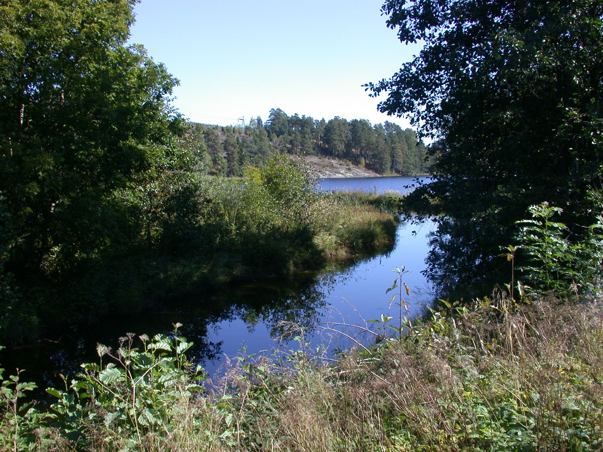 Foto: Statsforvaltaren i Vestfold og Telemark
