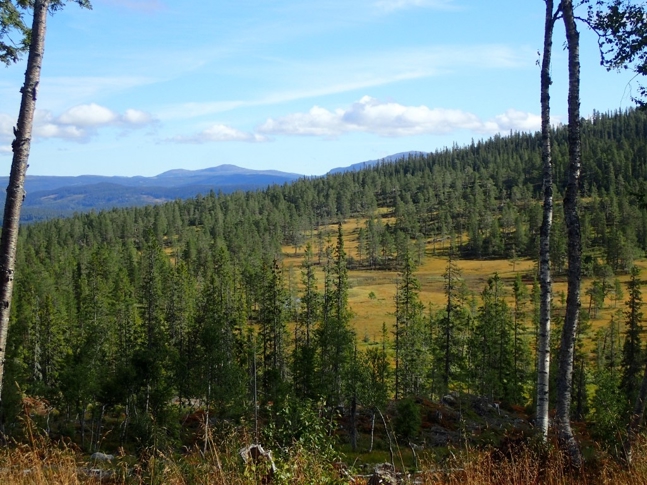 Jønngiljo. Foto: Sigve Reiso