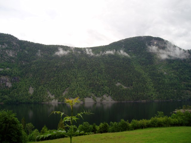 Heddedalane naturreservat i Tokke. Foto: Statsforvaltaren i Vestfold og Telemark