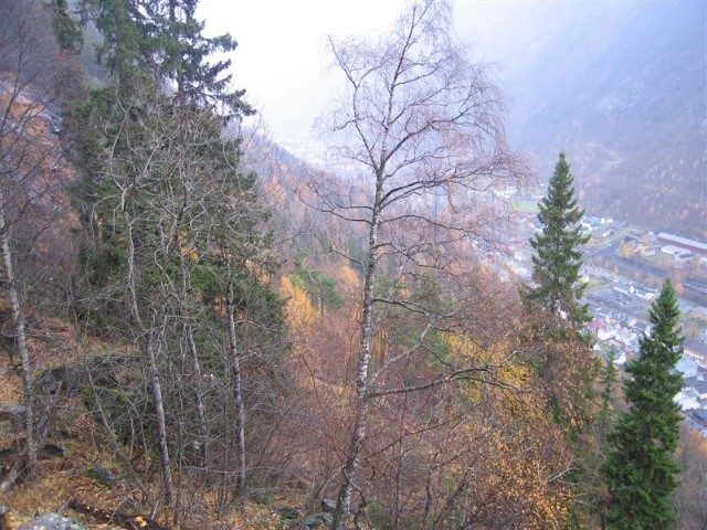 Vestfjorddalen naturreservat: Lisiden sett fra hengene under Gamlenut og østover. Foto: Sigve Reiso