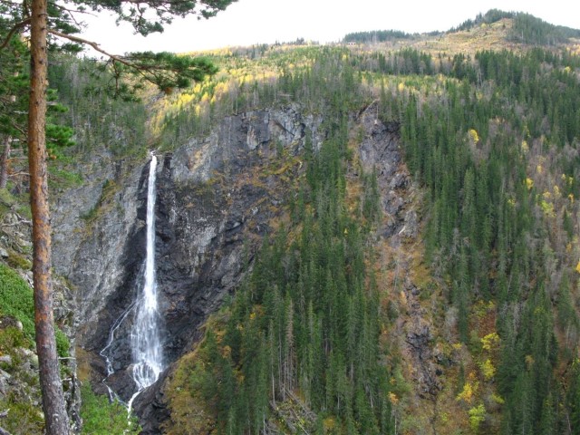 Rollagåsen naturreservat:  Høgefoss og østre del av Mælsåsen sett fra øst. Foto: Sigve Reiso