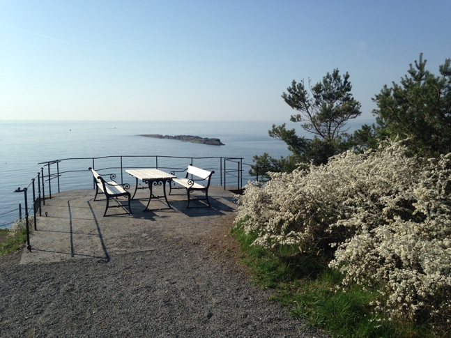 Langesundstangen naturreservat. Foto: Statsforvalteren i Vestfold og Telemark